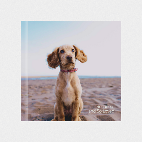 Pet Album
